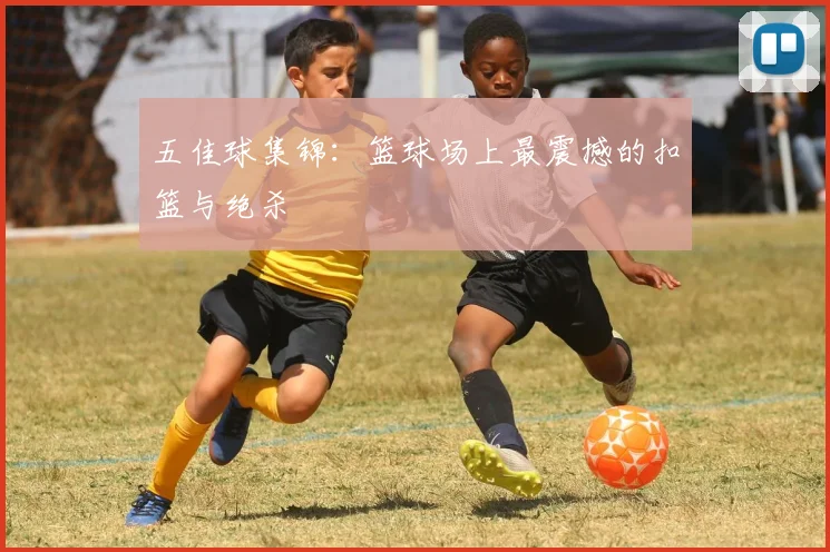 五佳球集锦:篮球场上最震撼的扣篮与绝杀