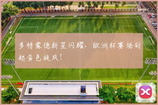 多特蒙德新星闪耀，欧洲杯赛场刮起黄色旋风！